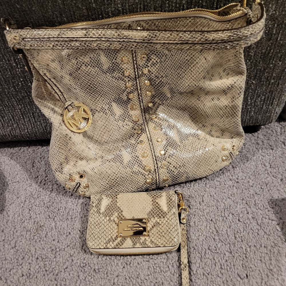 Snakeskin bag